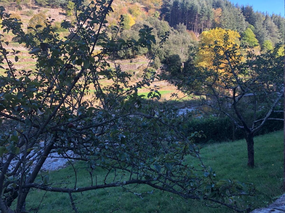 발레로그 Le Moulin De Bouzigue B&B 외부 사진
